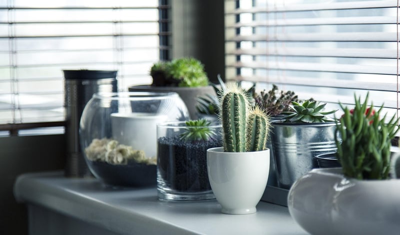 Green Living Hacks